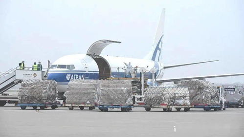 日用品正式开通 让生活更便捷、更优质